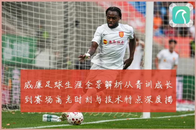 威廉足球生涯全景解析从青训成长到赛场高光时刻与技术特点深度揭秘：最新赛事动态与深度分析